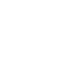 Project1r Studios logo in white
