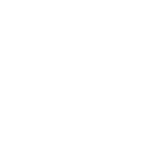 Project1r Studios logo in white